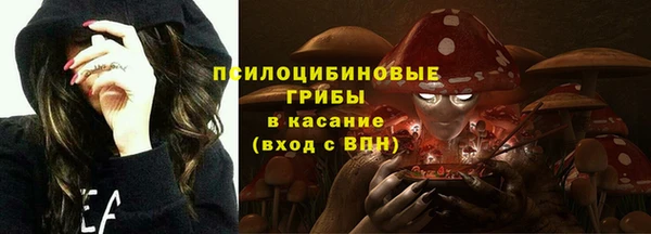 ешки Лагань