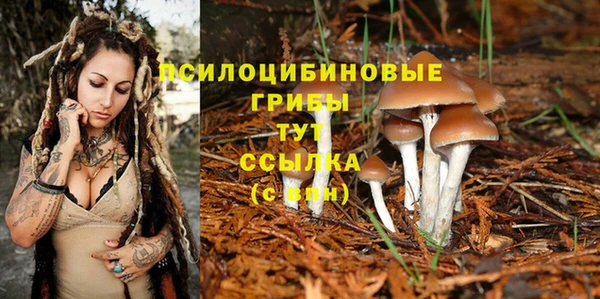 стафф Кукмор
